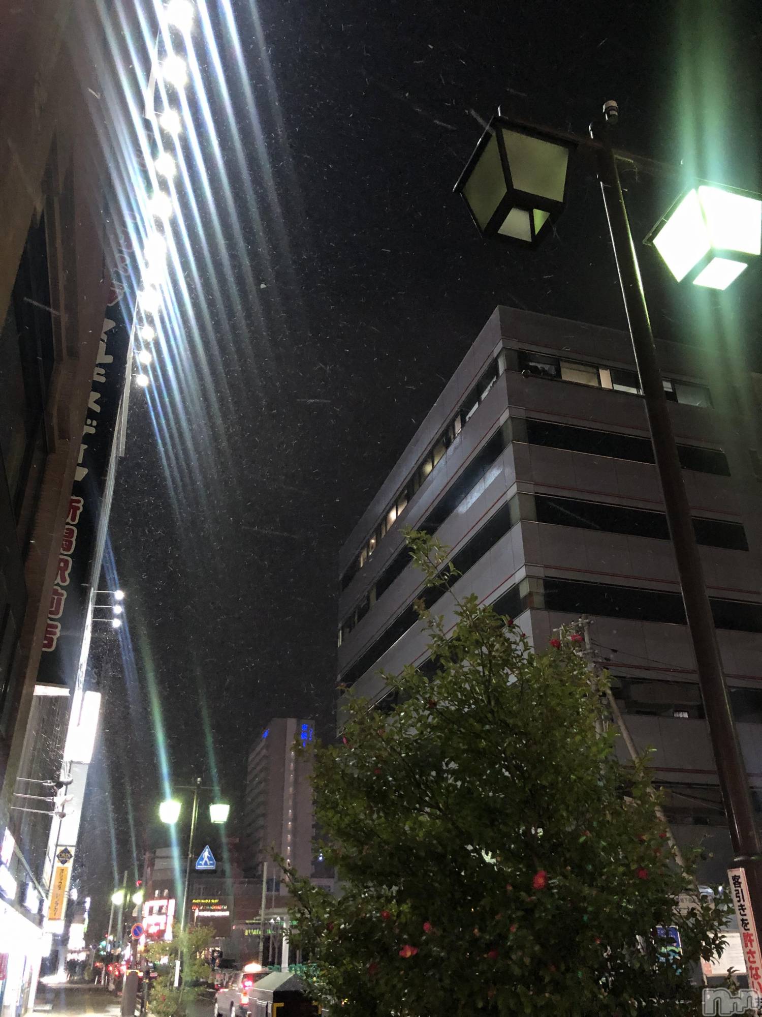 �����������Х��顦�����Diletto(�ǥ���å�) ��2026ǯ1��22���̥�֥����ֽжС�