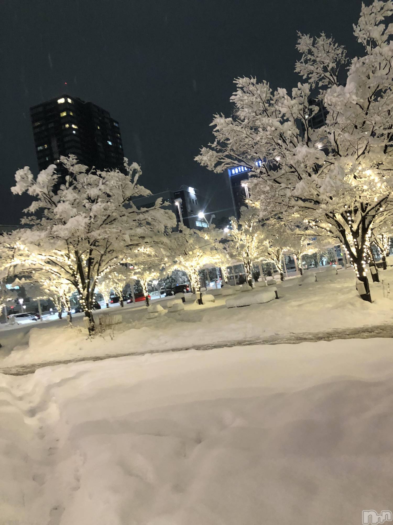 �����������Х��顦�����Diletto(�ǥ���å�) ��2026ǯ1��24���̥�֥����ֿ�����ܵ���