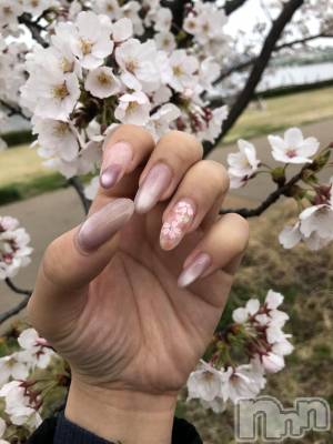 Х顦Diletto(ǥå) (29)1022̥֥֤Ǥˡ