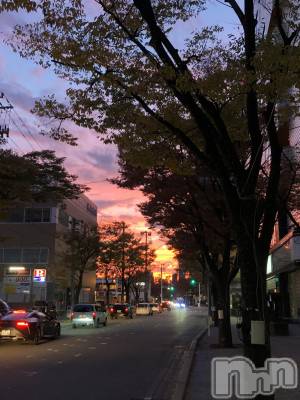 Х顦Diletto(ǥå) (29)116̥֥ͼ