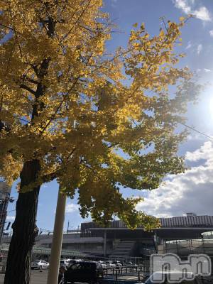 Х顦Diletto(ǥå) (29)1114ֶ̥֥