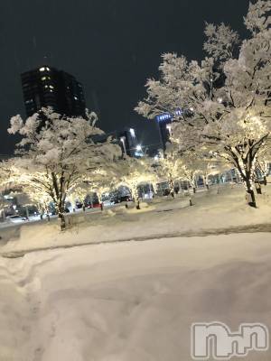 �����������Х��顦�����Diletto(�ǥ���å�) ���(29)��1��24���̥�֥����ֿ�����ܵ���