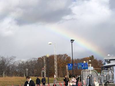 �����������Х��顦�����Diletto(�ǥ���å�) ���(29)��2��8���̥�֥����־��ä�����