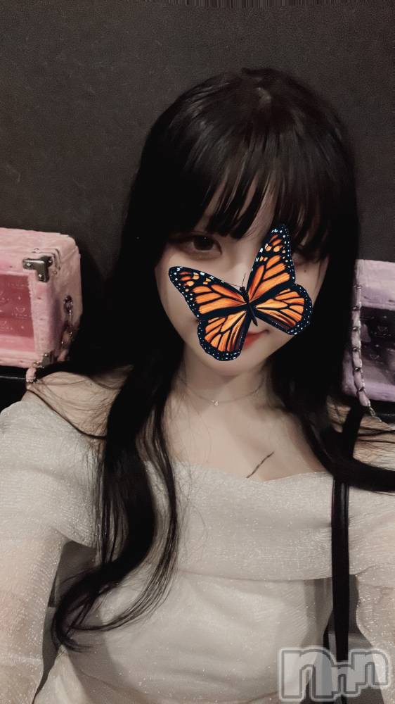 Х顦Diletto(ǥå) ʥ924̥֥924 2304ʬΥ֥