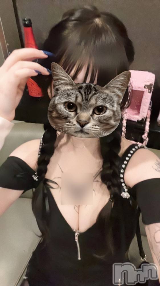 Х顦Diletto(ǥå) ʥ1120̥֥֤