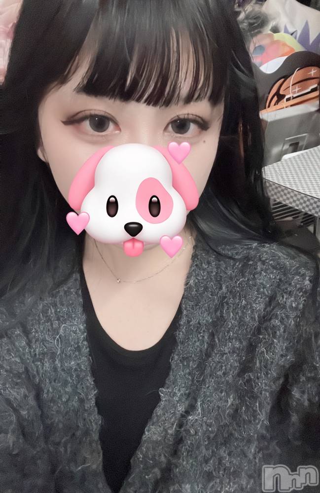 Х顦Diletto(ǥå) ʥ1218̥֥🐶🐾