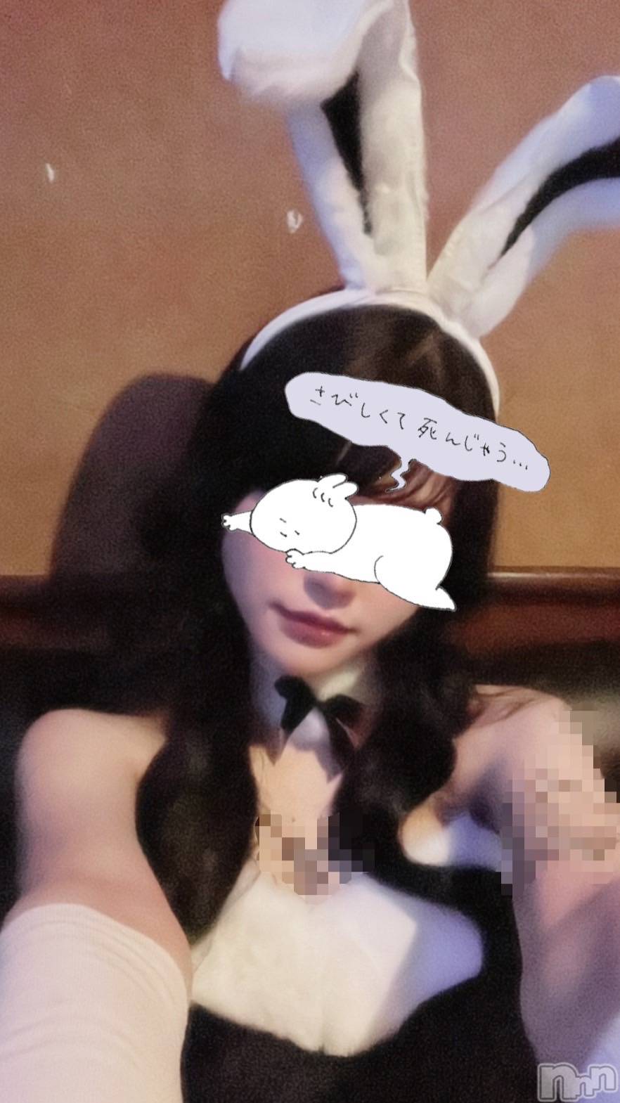 Х顦Diletto(ǥå) 2025ǯ222̥֥֤Фˤ
