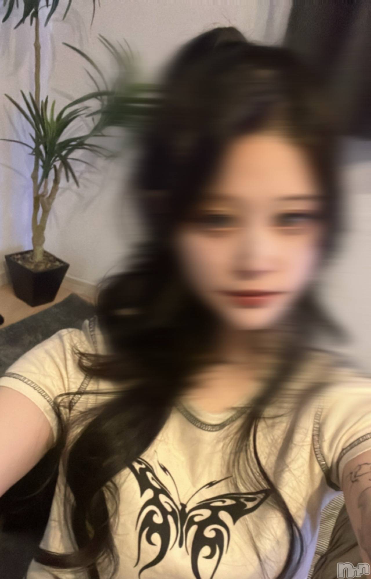 Х顦Diletto(ǥå) 2025ǯ525̥֥֥ϡեåפ
