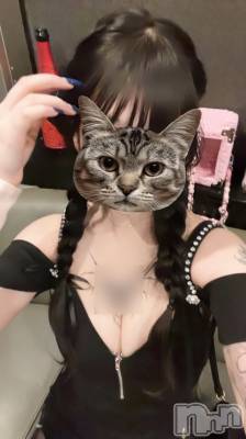 Х顦Diletto(ǥå) ʥ(22)1120̥֥֤