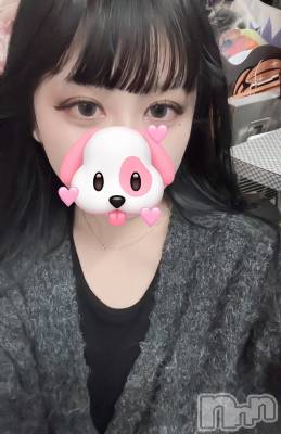 Х顦Diletto(ǥå) ʥ(22)1218̥֥🐶🐾