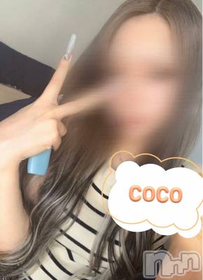 (ҥߥ) Ĺҥߥġȯѥ˥󥯥 Companion Club COCO(ѥ˥󥯥֥)ҡ