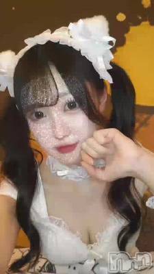 ˤ(^._.^)⭐︎