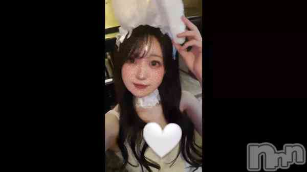 &#x1F430;