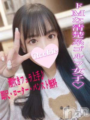 あさ(20) 身長159cm、スリーサイズB87(E).W56.H85。長岡デリヘル ROOKIE(ルーキー)在籍。