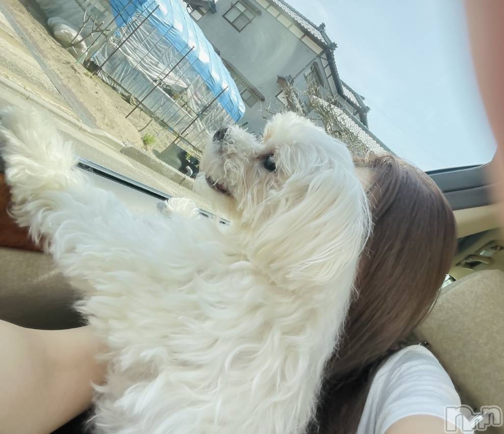 ȯѥ˥󥯥Companion Club COCO(ѥ˥󥯥֥) åգ٤58ֳ̥֥ڤ֤ϤäȤ桼ޡʡ-`ˡ