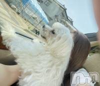 ȯѥ˥󥯥Companion Club COCO(ѥ˥󥯥֥) åգ٤58ֳ̥֥ڤ֤ϤäȤ桼ޡʡ-`ˡ