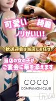 襤ʤǤ╹◡╹