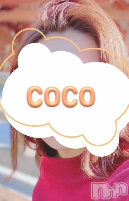 ʤ(ҥߥ) Ĺҥߥġȯѥ˥󥯥 Companion Club COCO(ѥ˥󥯥֥)ҡ