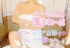 長岡人妻デリヘル多彩妻(タサイヅマ) せつな【AV単体女優】(39)の9月17日写メブログ「出勤しましたぁ」
