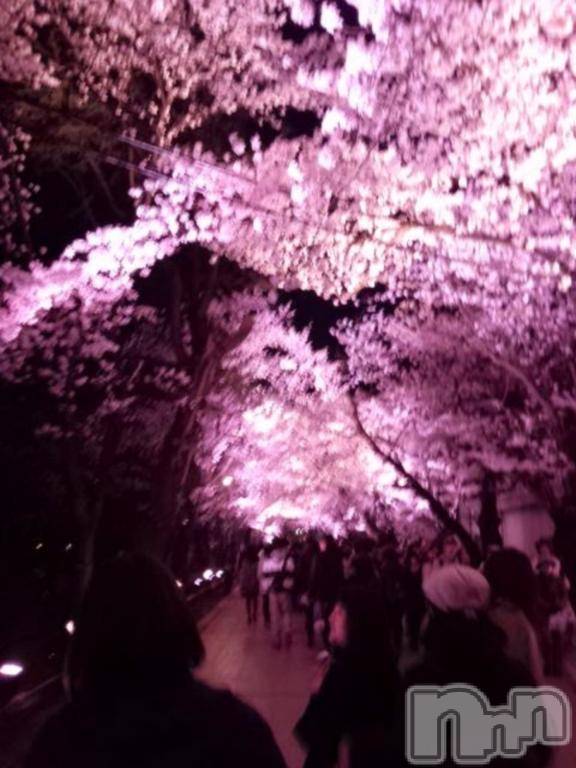 上越デリヘルHONEY(ハニー) みさき(♪)(47)の4月12日写メブログ「夜桜」