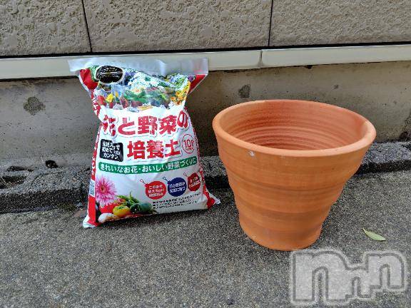上越デリヘルHONEY(ハニー) みさき(♪)(47)の7月19日写メブログ「植え替え」