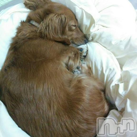 上越デリヘルHONEY(ハニー) みさき(♪)(47)の12月20日写メブログ「訃報」