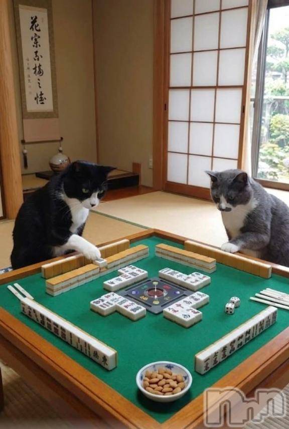 上越デリヘルHONEY(ハニー) みさき(♪)(47)の1月12日写メブログ「カード決済始まりました」