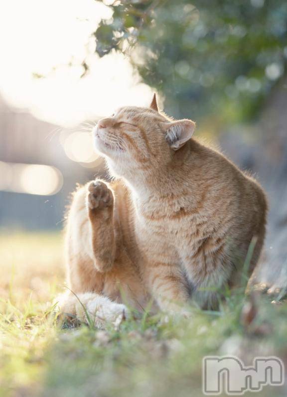 上越デリヘルHONEY(ハニー) みさき(♪)(47)の1月27日写メブログ「私の1日」