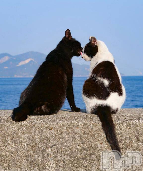 上越デリヘルHONEY(ハニー) みさき(♪)(48)の8月31日写メブログ「残り４ヶ月」