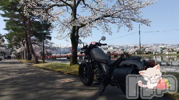上越デリヘルHONEY(ハニー)みさき(♪)(47)の2025年4月8日写メブログ「バイクと桜」