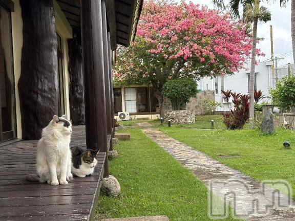 上越デリヘルHONEY(ハニー)みさき(♪)(47)の2026年1月13日写メブログ「お知らせ」