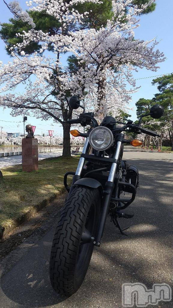 上越デリヘルHONEY(ハニー)みさき(♪)(47)の2026年4月6日写メブログ「バイクと桜🌸」