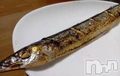 上越デリヘルHONEY(ハニー) みさき(♪)(47)の9月16日写メブログ「秋刀魚🐟」