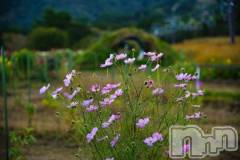 上越デリヘルHONEY(ハニー) みさき(♪)(47)の10月15日写メブログ「プチツー」