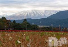 上越デリヘルHONEY(ハニー) みさき(♪)(47)の11月8日写メブログ「初冠雪」