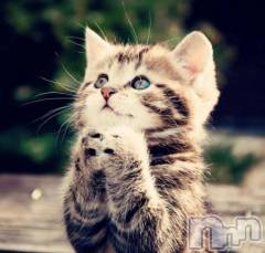 上越デリヘルHONEY(ハニー) みさき(♪)(47)の11月22日写メブログ「おねがいっ」