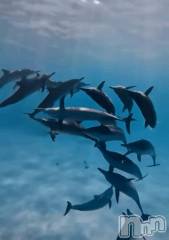 上越デリヘルHONEY(ハニー) みさき(♪)(47)の6月11日写メブログ「御蔵島」