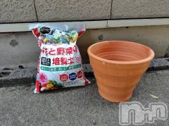 上越デリヘルHONEY(ハニー) みさき(♪)(47)の7月19日写メブログ「植え替え」