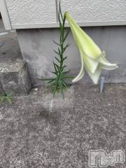 上越デリヘルHONEY(ハニー) みさき(♪)(47)の8月16日写メブログ「こんなところで…」