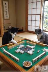 上越デリヘルHONEY(ハニー) みさき(♪)(47)の1月12日写メブログ「カード決済始まりました」