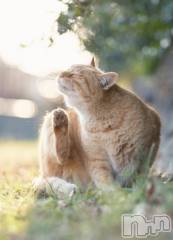 上越デリヘルHONEY(ハニー) みさき(♪)(47)の1月27日写メブログ「私の1日」