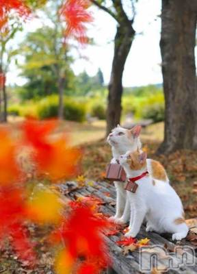 上越デリヘル HONEY(ハニー) みさき(♪)(47)の10月22日写メブログ「本日のイベント🎪」