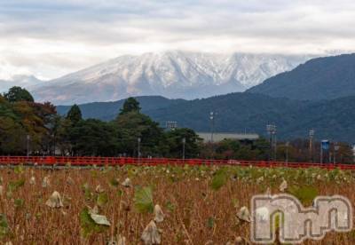 上越デリヘル HONEY(ハニー) みさき(♪)(47)の11月8日写メブログ「初冠雪」