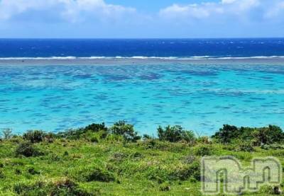 上越デリヘル HONEY(ハニー) みさき(♪)(47)の2月26日写メブログ「移住計画」