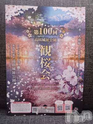 上越デリヘル HONEY(ハニー) みさき(♪)(47)の3月4日写メブログ「第100回 観桜会🌸」