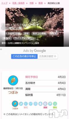 上越デリヘル HONEY(ハニー) みさき(♪)(47)の3月26日写メブログ「開花予報🌸」