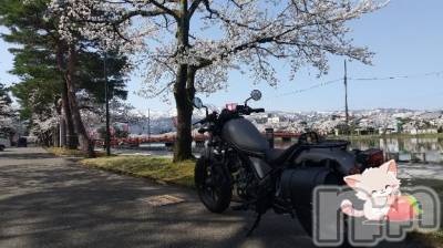 上越デリヘル HONEY(ハニー) みさき(♪)(47)の4月8日写メブログ「バイクと桜」