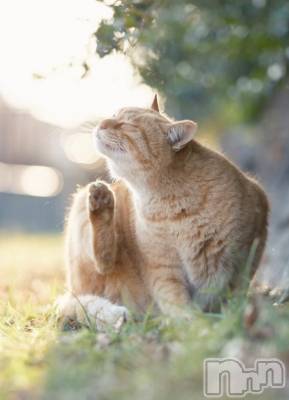 上越デリヘル HONEY(ハニー) みさき(♪)(47)の1月27日写メブログ「私の1日」