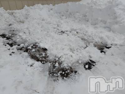 上越デリヘル HONEY(ハニー) みさき(♪)(47)の2月10日写メブログ「今日のひと仕事」