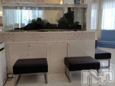 上越デリヘル HONEY(ハニー) みさき(♪)(47)の3月26日写メブログ「禁煙外来」